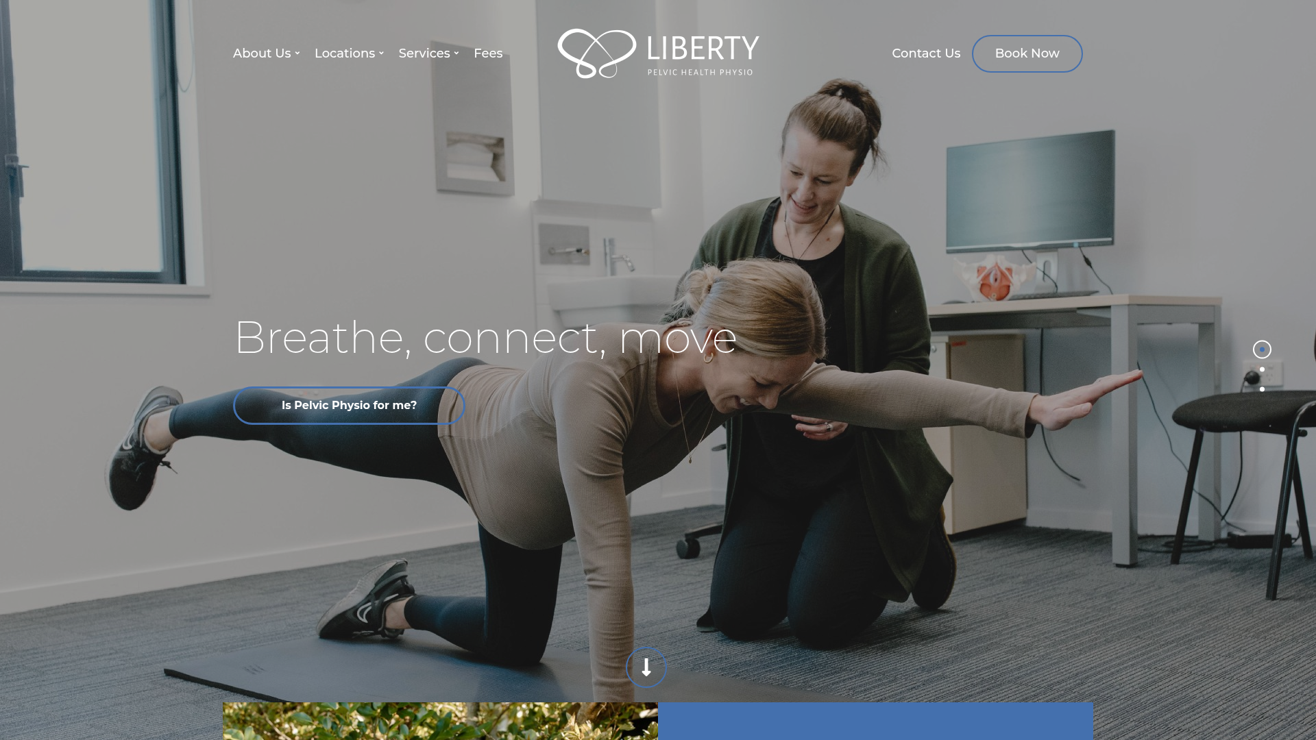 Website snapshot for Liberty Pelvic Health Physiotherapy - Merivale