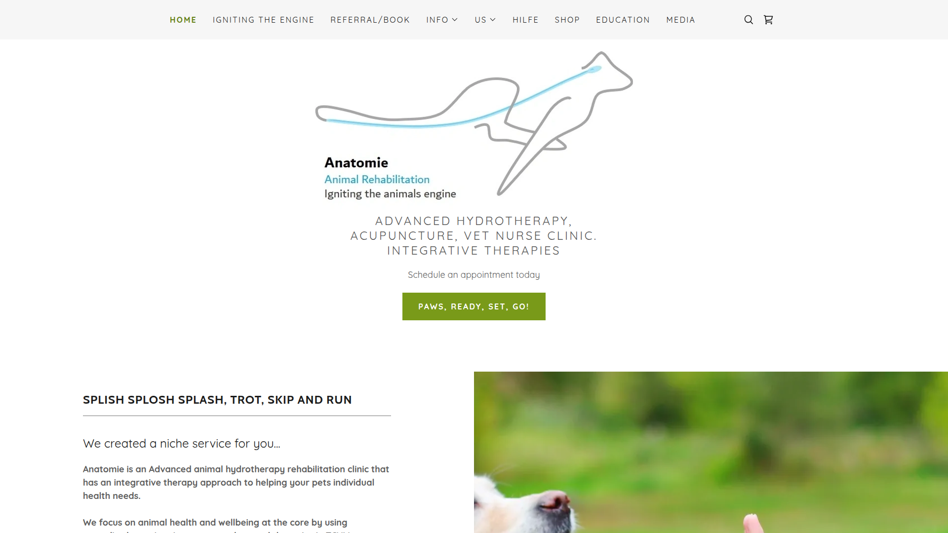 Website snapshot for Anatomie Limited