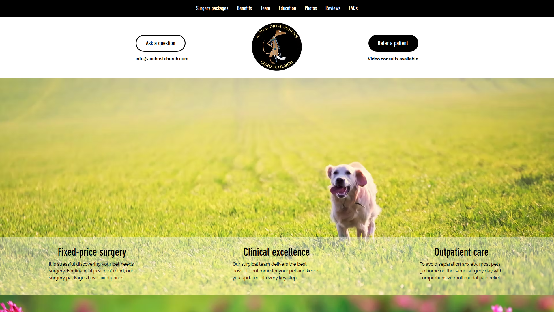 Website snapshot for Animal Orthopaedics
