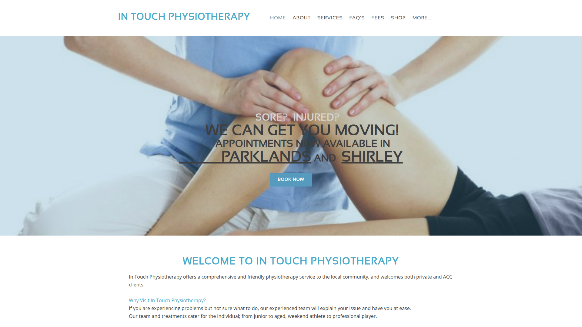 Website snapshot for In Touch Physiotherapy Shirley
