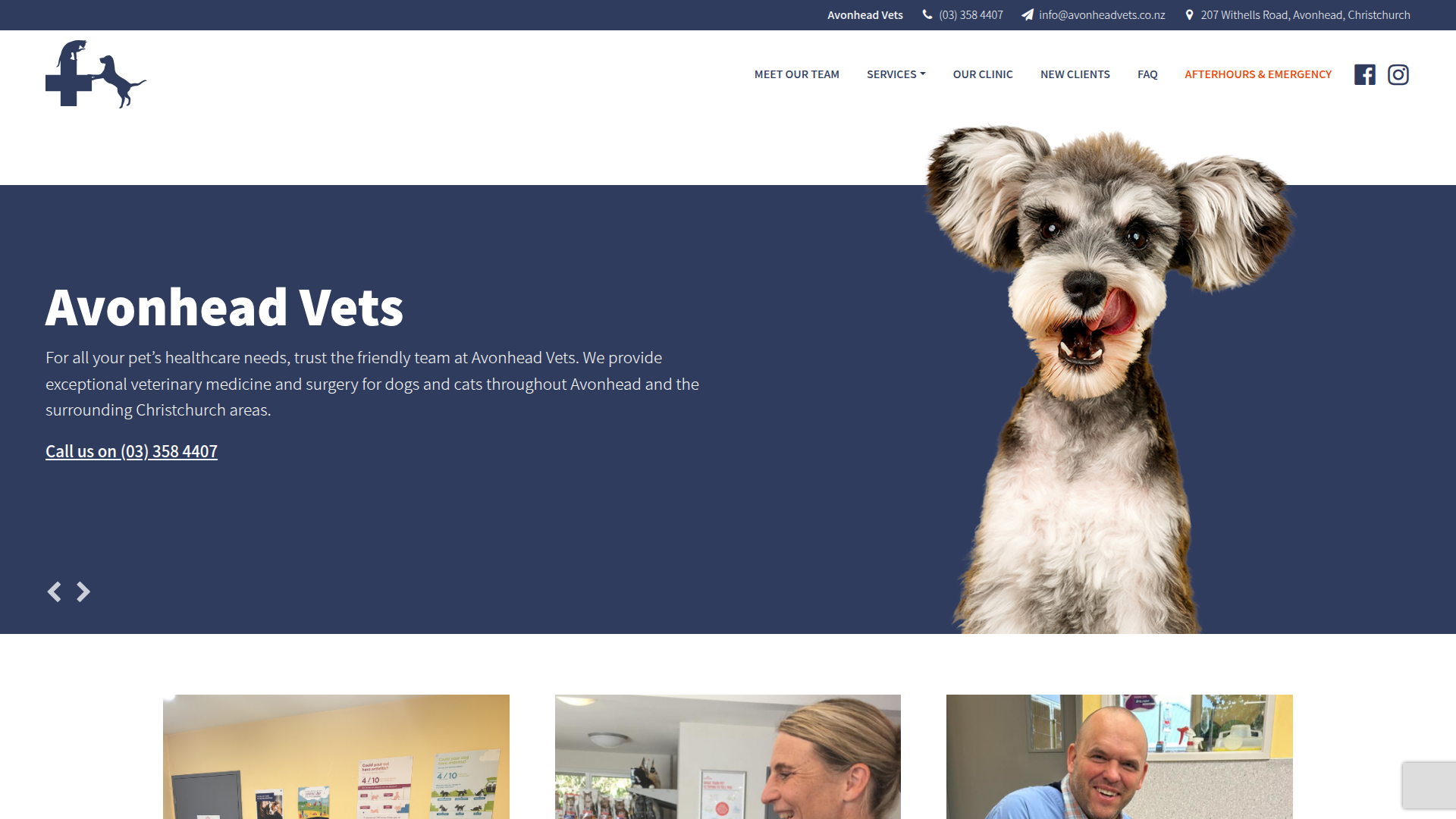 Website snapshot for Avonhead Veterinary Clinic