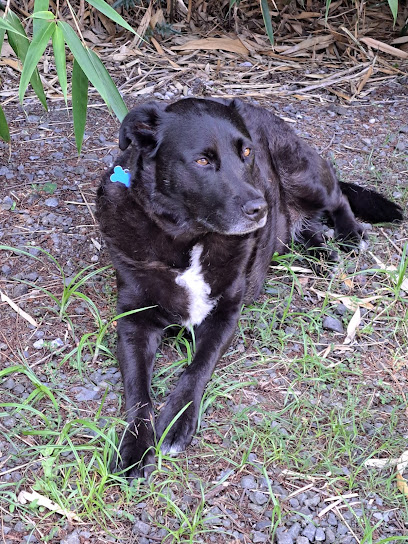 RVC Kaiapoi Vet Clinic