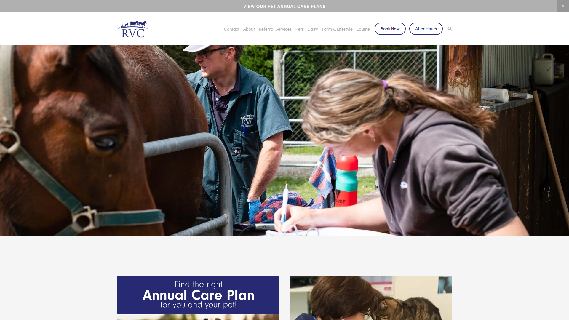 Website snapshot for RVC Kaiapoi Vet Clinic