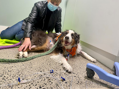 Veterinary Specialists Aotearoa