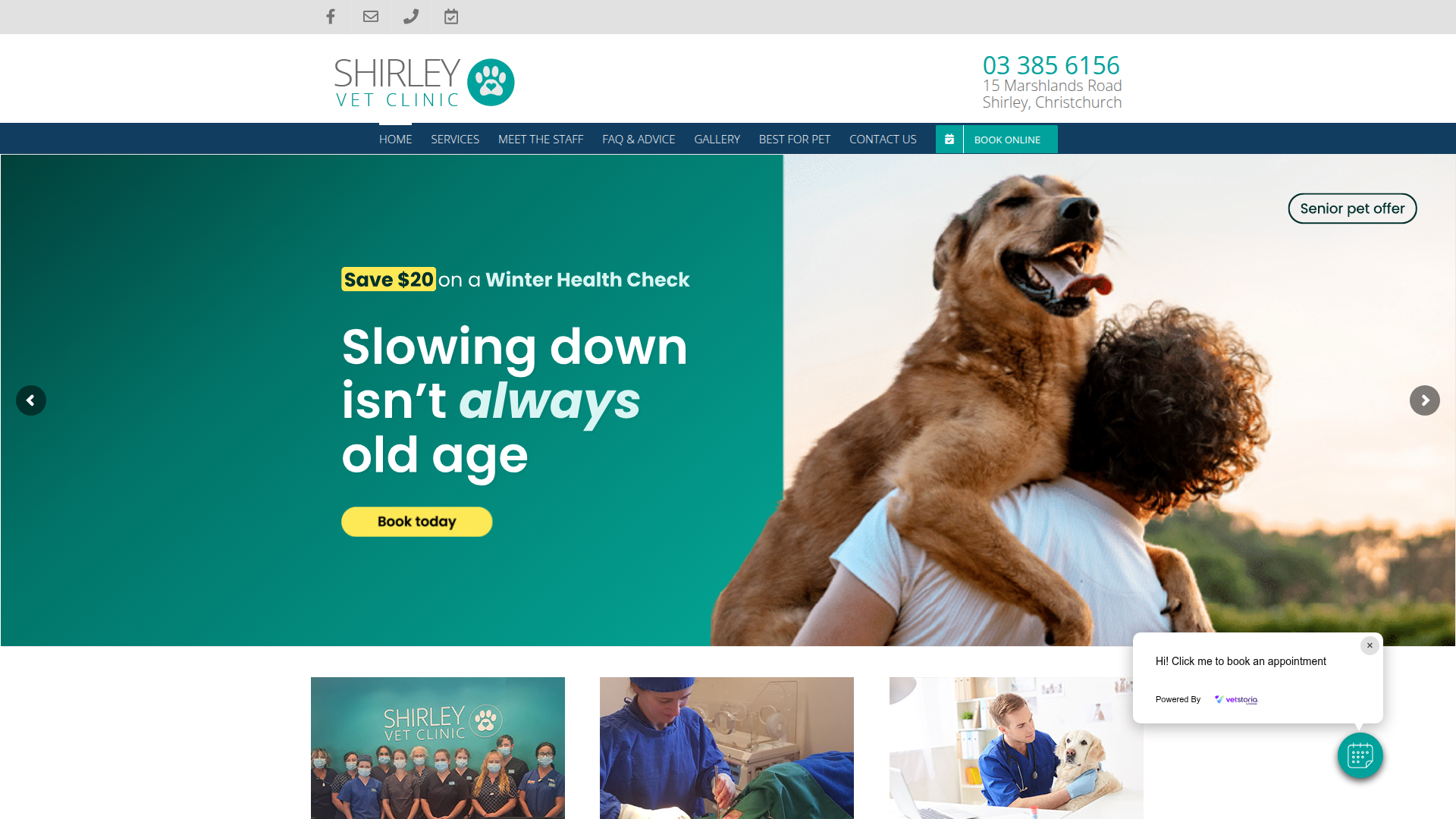 Website snapshot for Shirley Veterinary Clinic