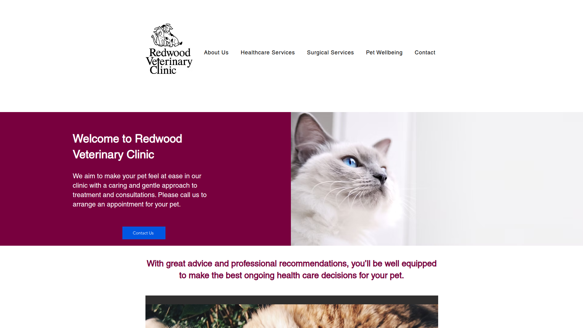 Website snapshot for Redwood Veterinary Clinic