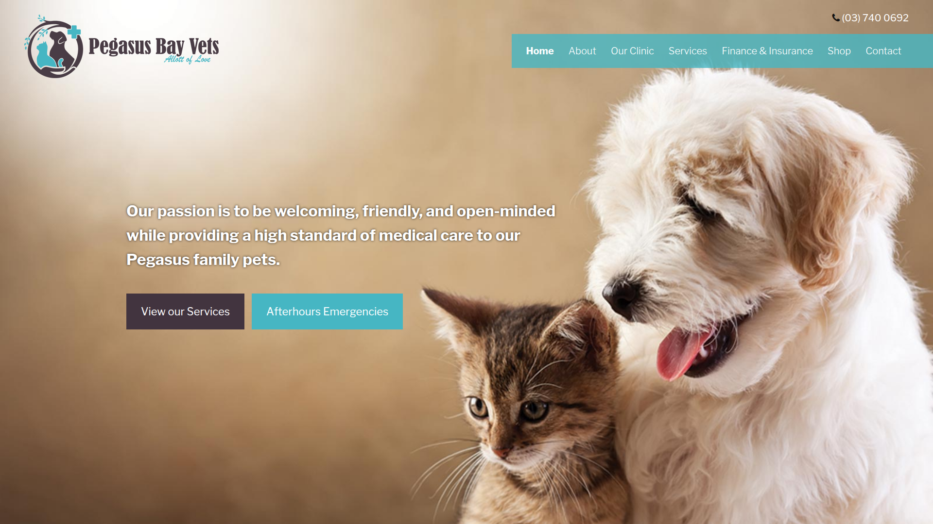 Website snapshot for Pegasus Bay Vets