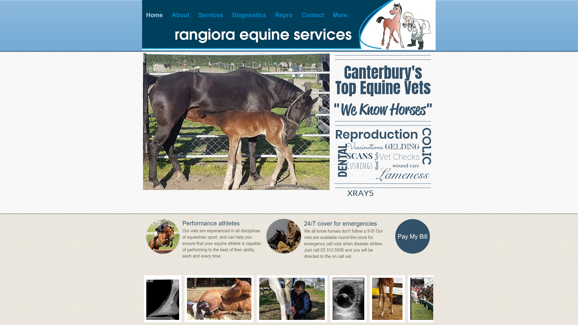 Website snapshot for Rangiora Equine Services