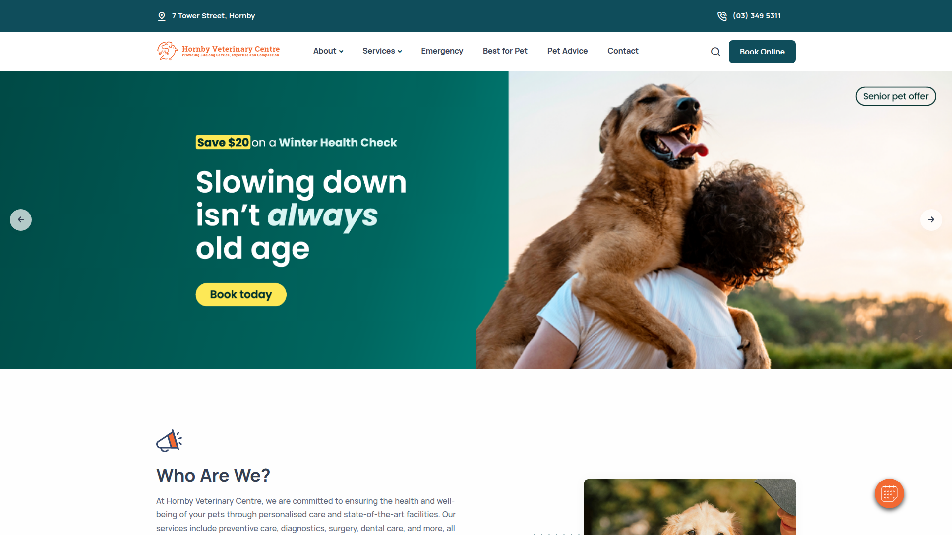 Website snapshot for Hornby Veterinary Centre
