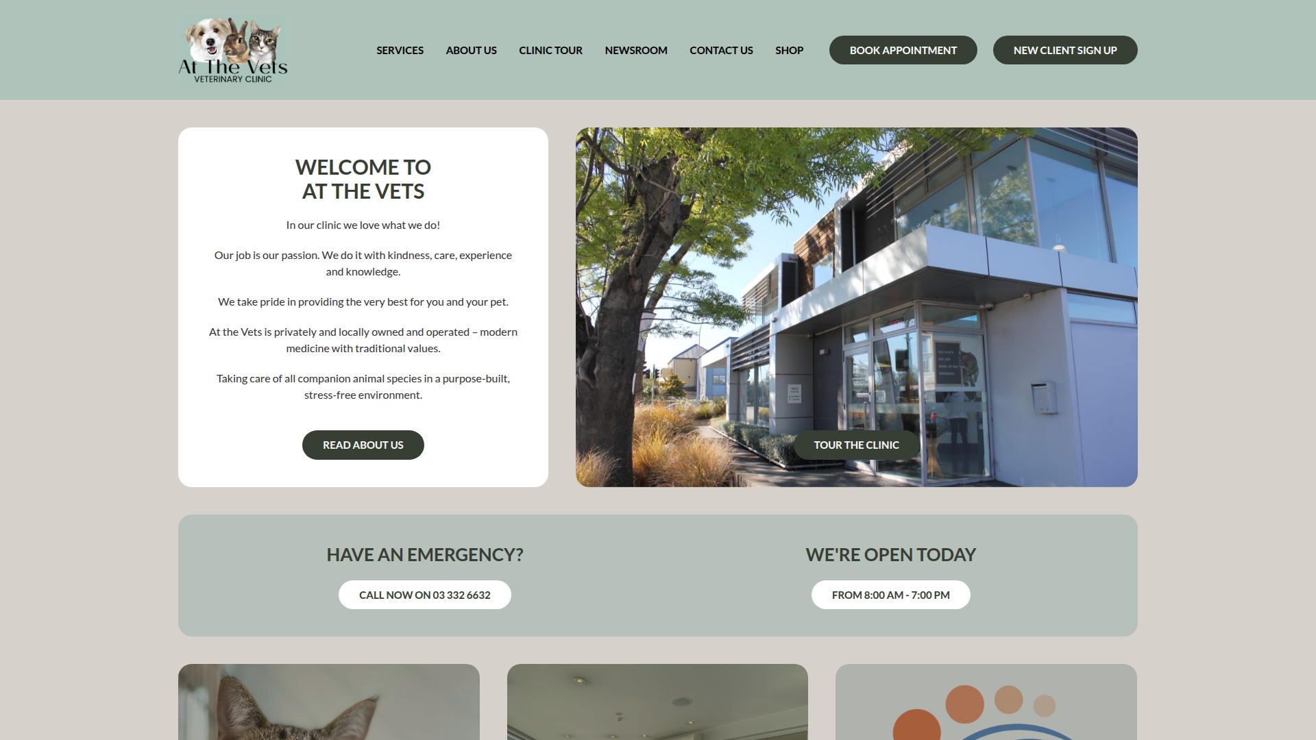 Website snapshot for At the Vets