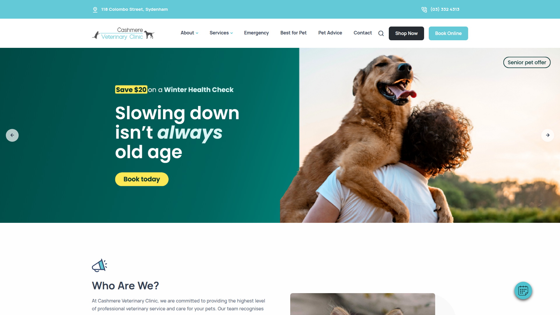 Website snapshot for Cashmere Veterinary Clinic