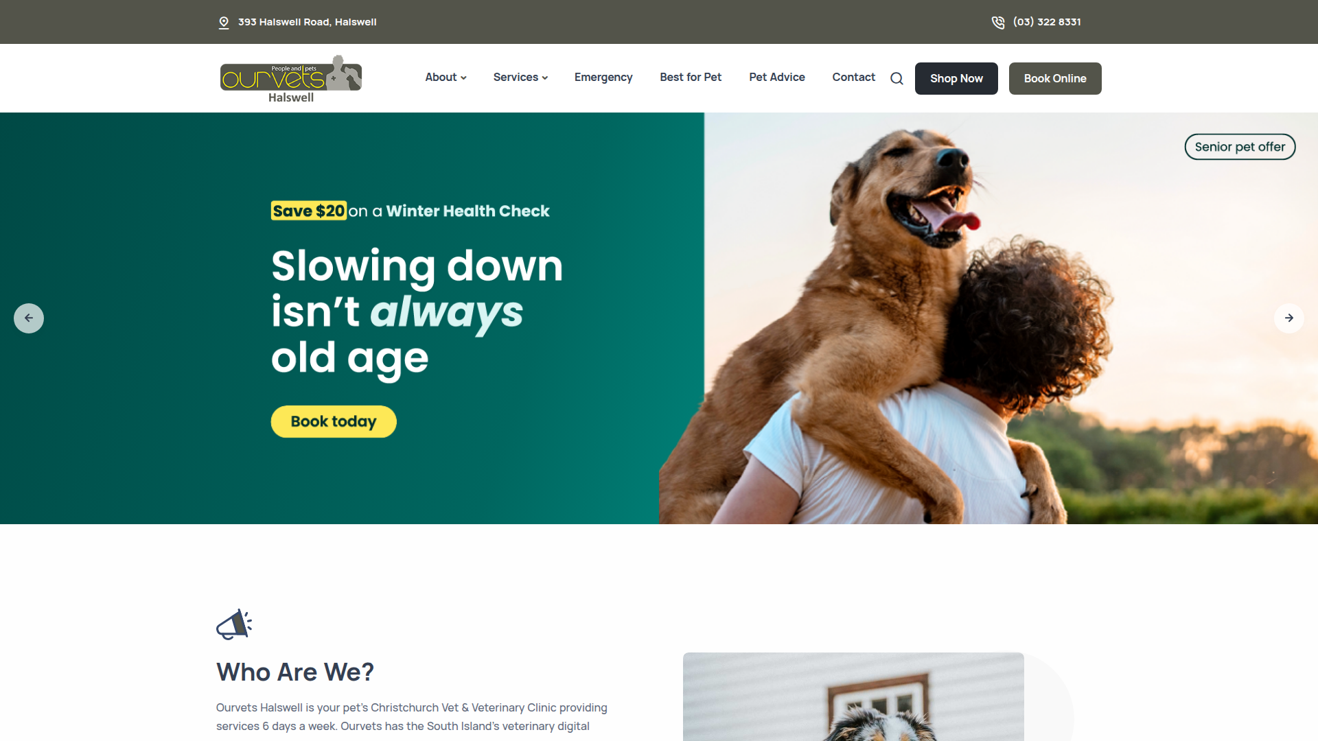 Website snapshot for Ourvets Halswell
