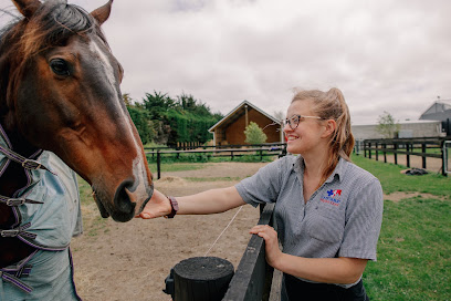 Canterbury Equine Clinic