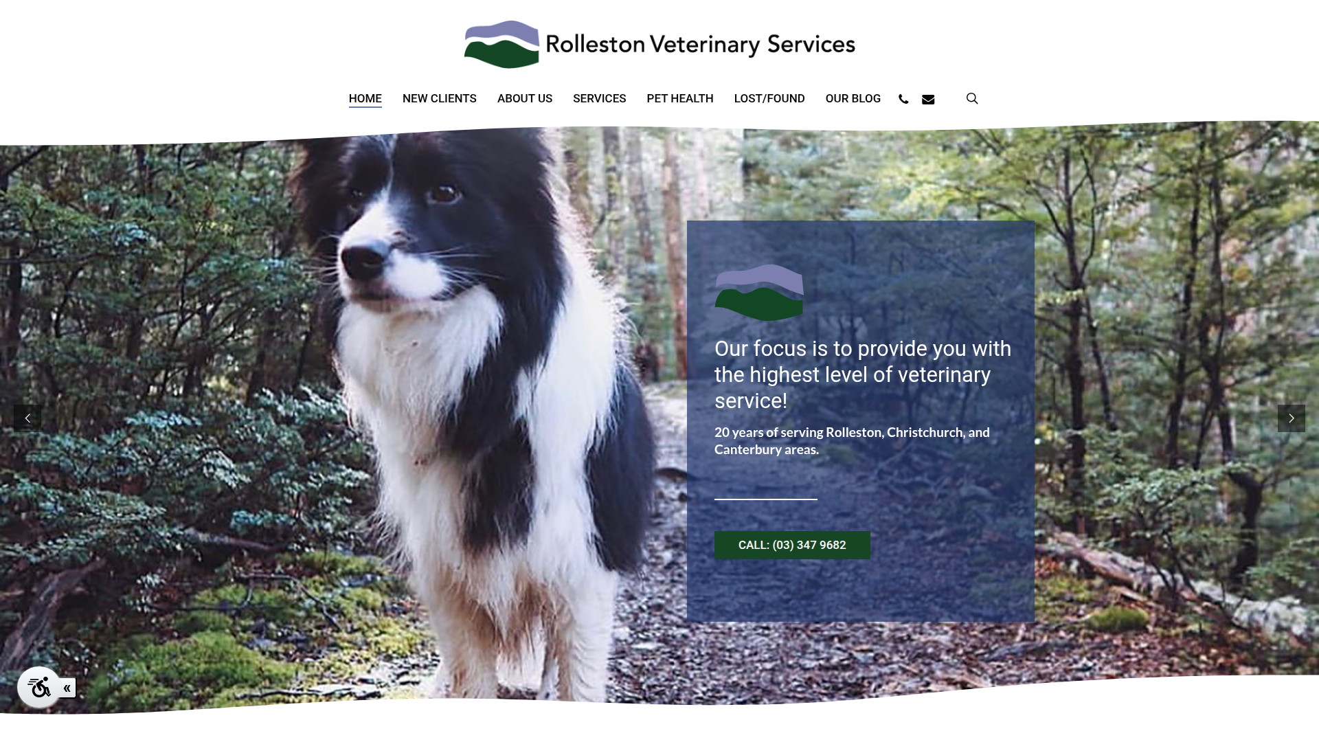 Website snapshot for Rolleston Veterinary Services