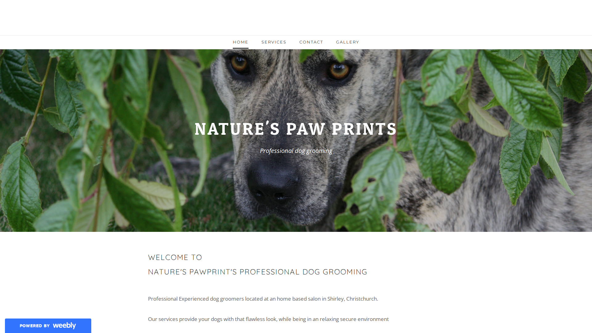 Website snapshot for Nature's Pawprint Dog Grooming
