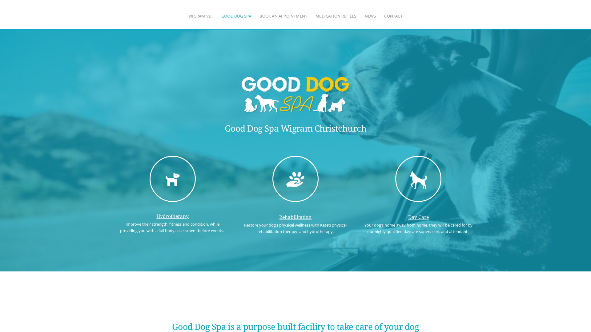 Website snapshot for Good Dog Spa
