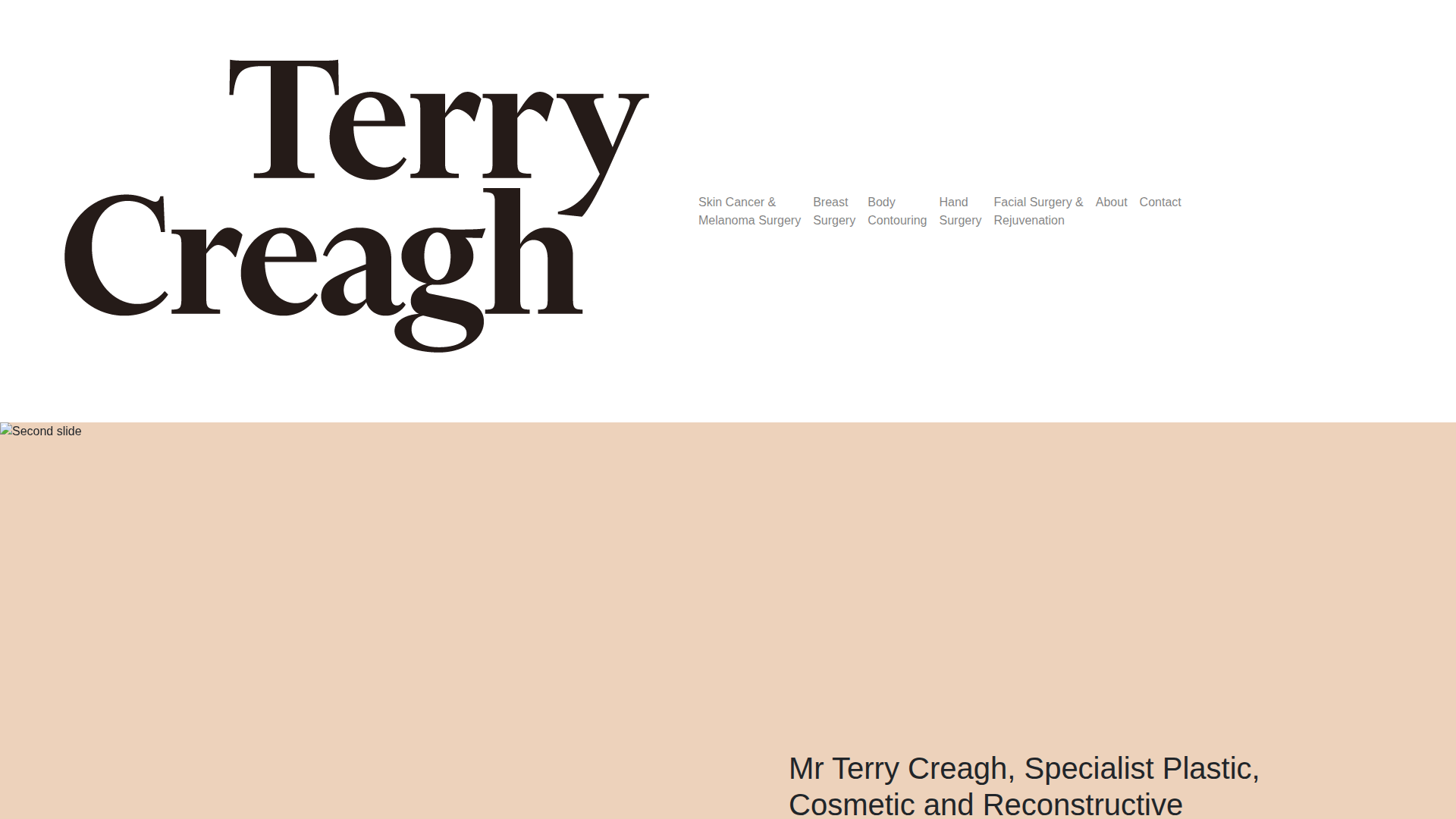 Website snapshot for Terry Creagh Plastic Surgeon