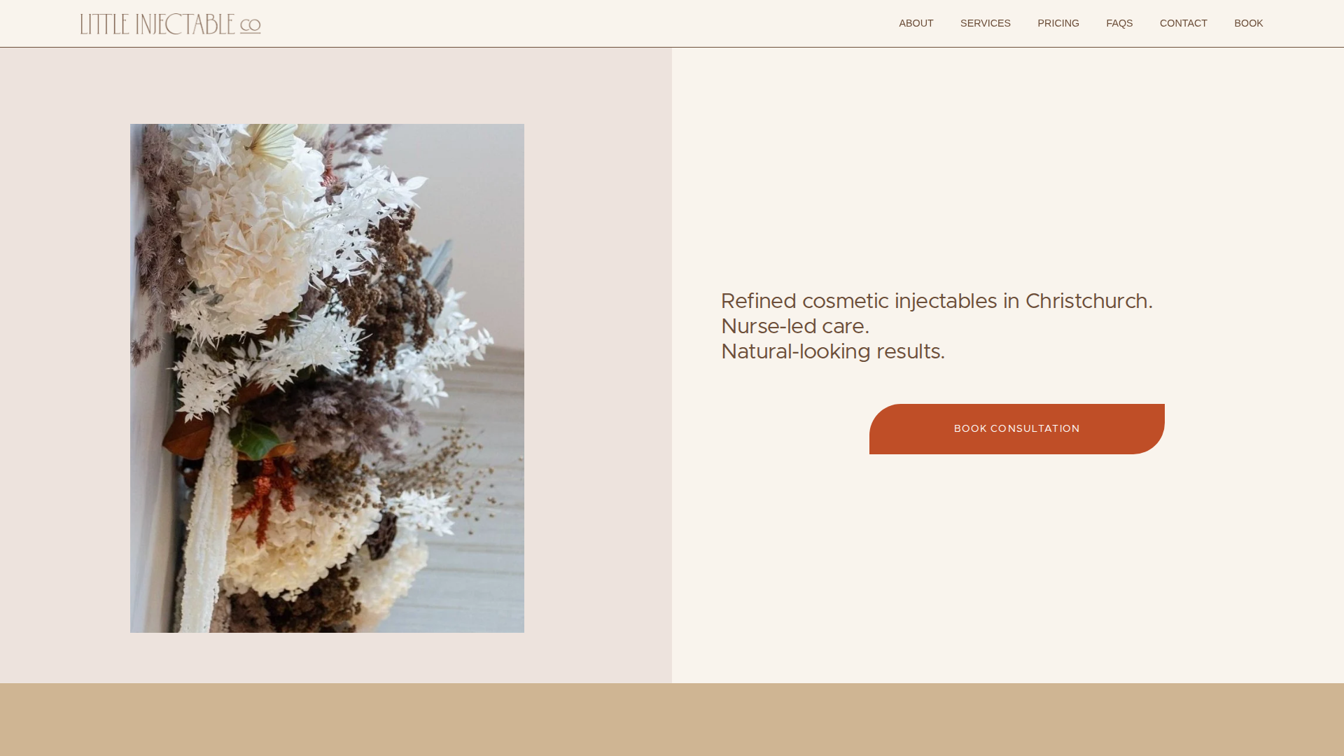 Website snapshot for Little Injectable Co