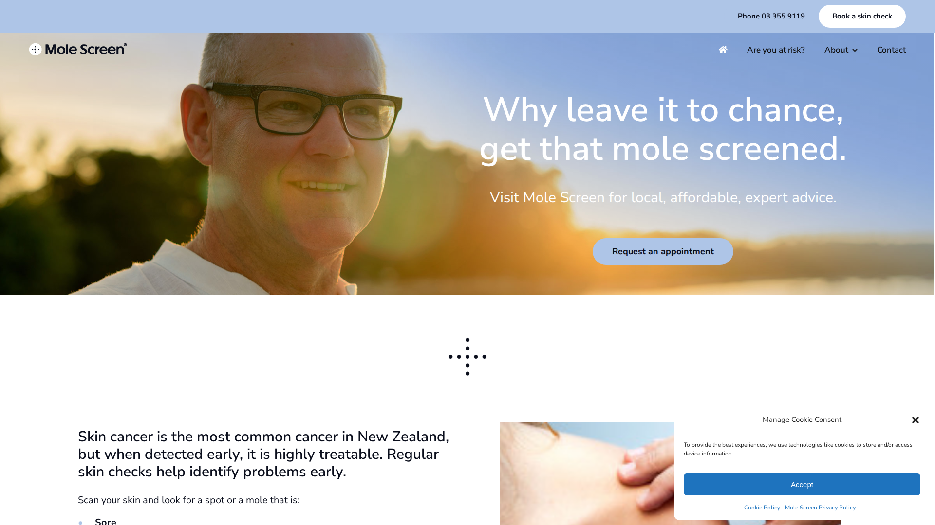Website snapshot for Mole Screen