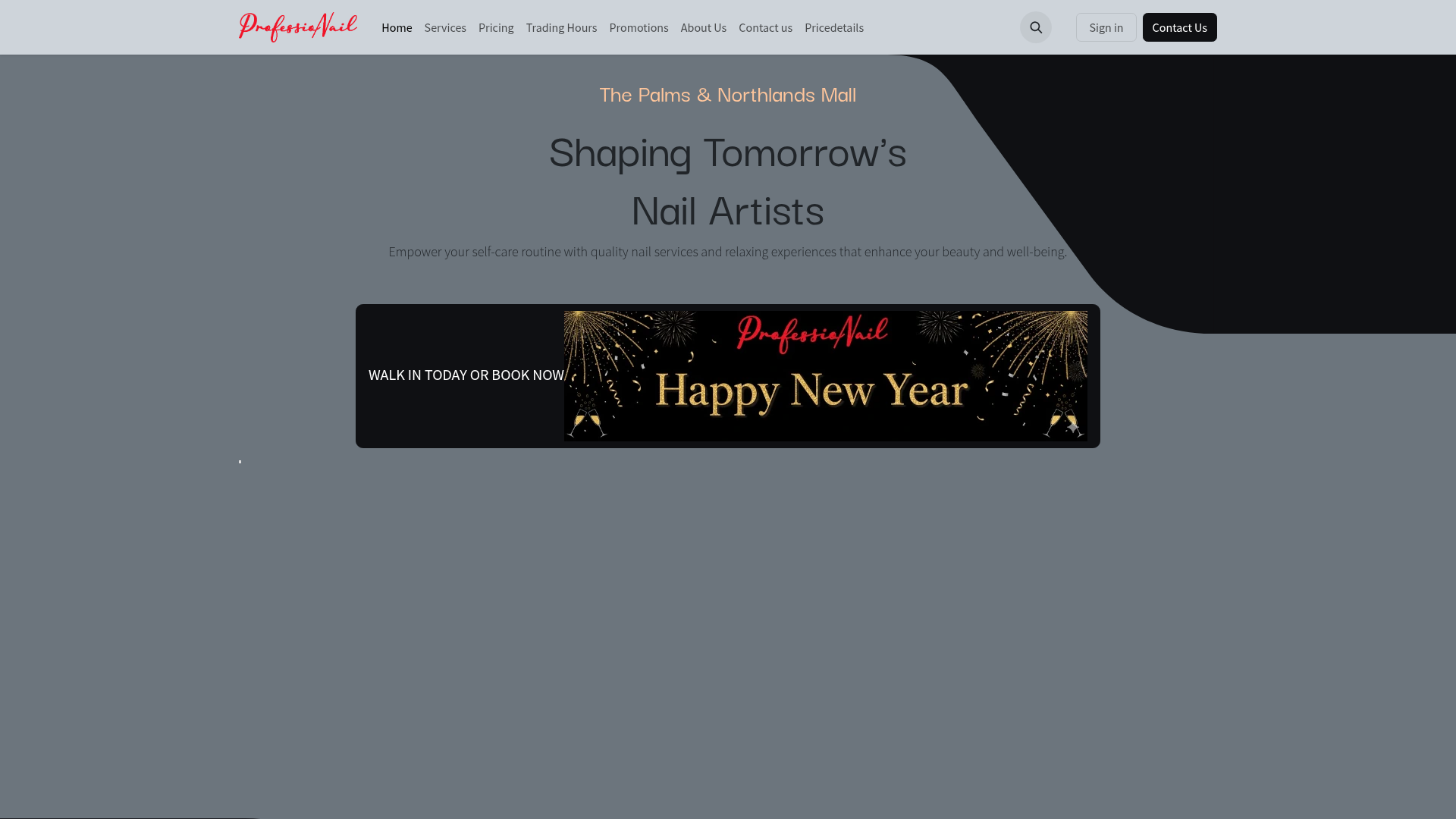 Website snapshot for ProfessioNAIL The Palms