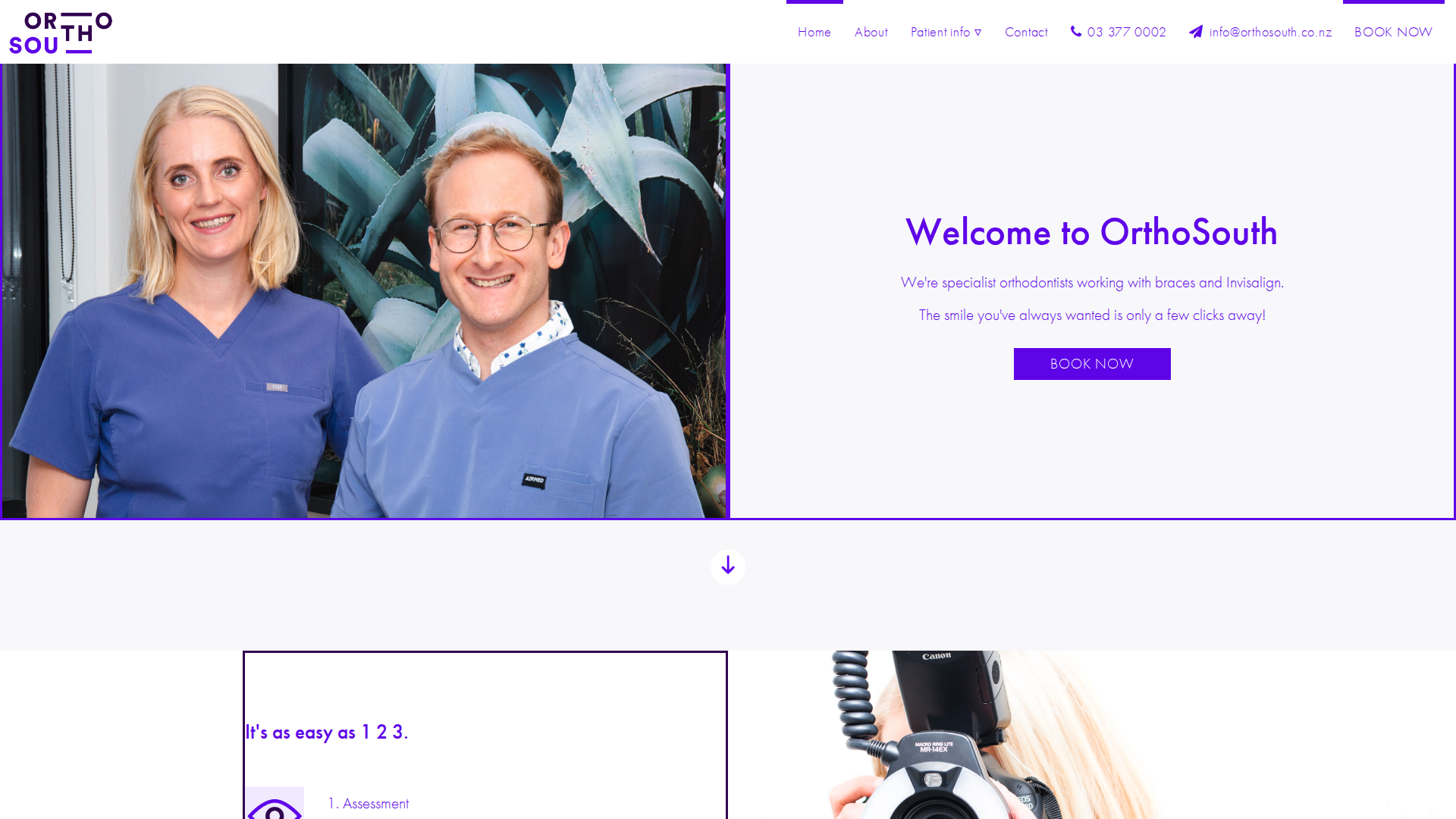 Website snapshot for OrthoSouth