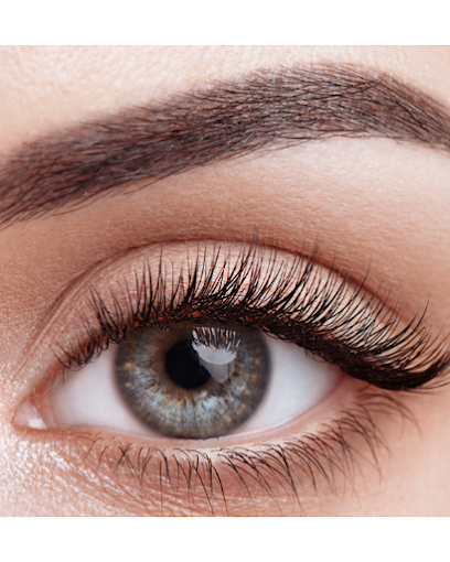 Image Is Everything: Lashes and Brows Christchurch