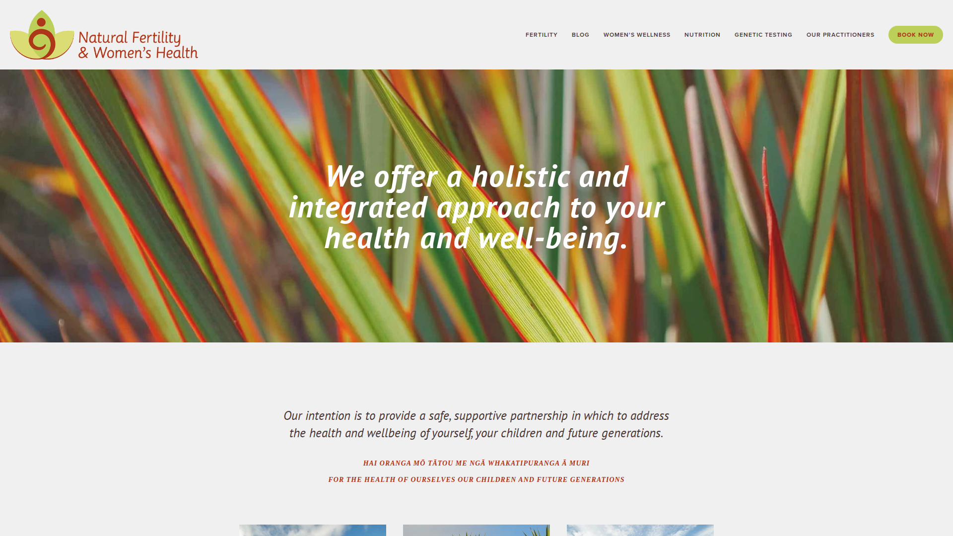 Website snapshot for Anita Roy Chaudhuri Eatright Nutrition