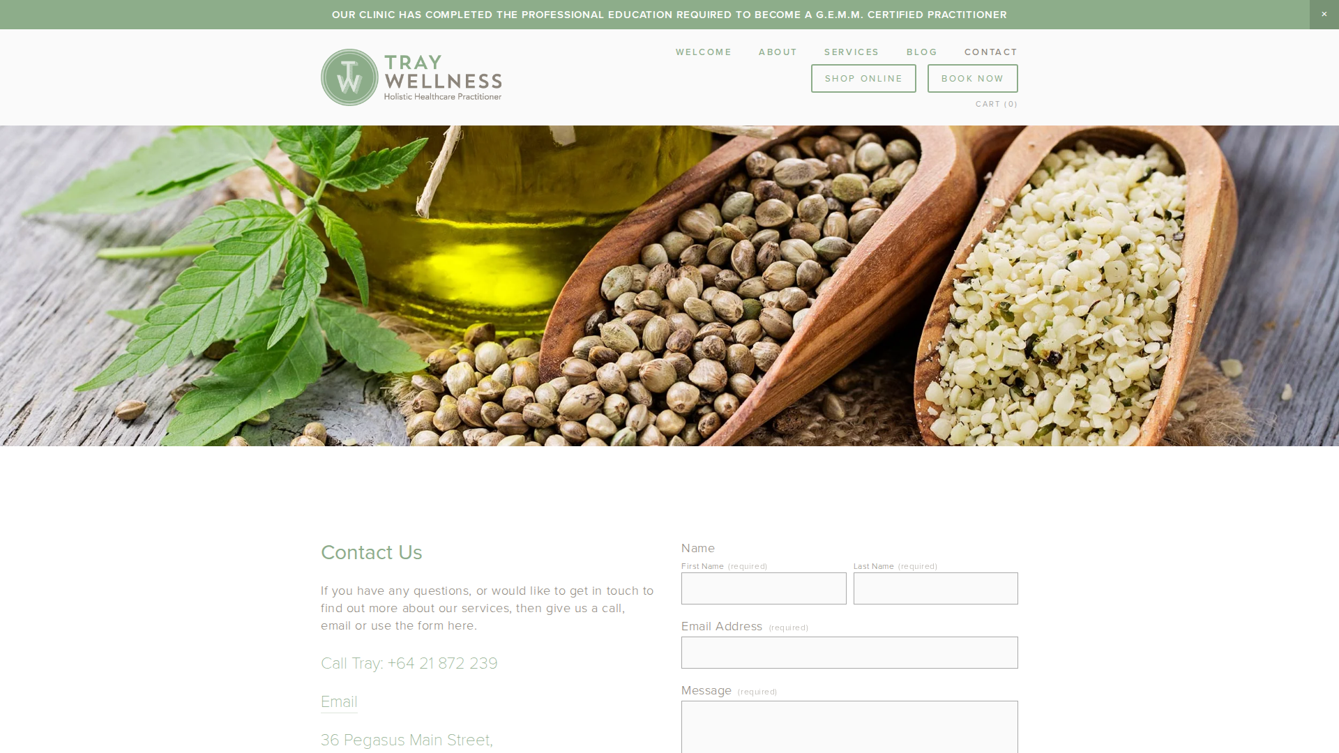 Website snapshot for Tray Wellness