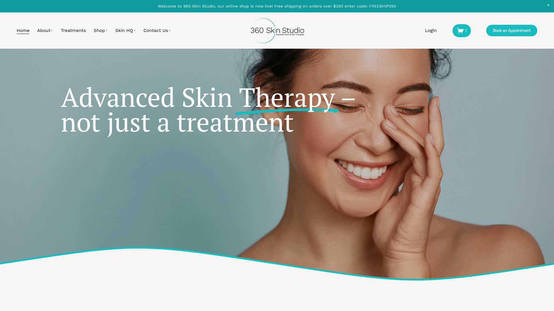 Website snapshot for 360 Skin Studio Russley