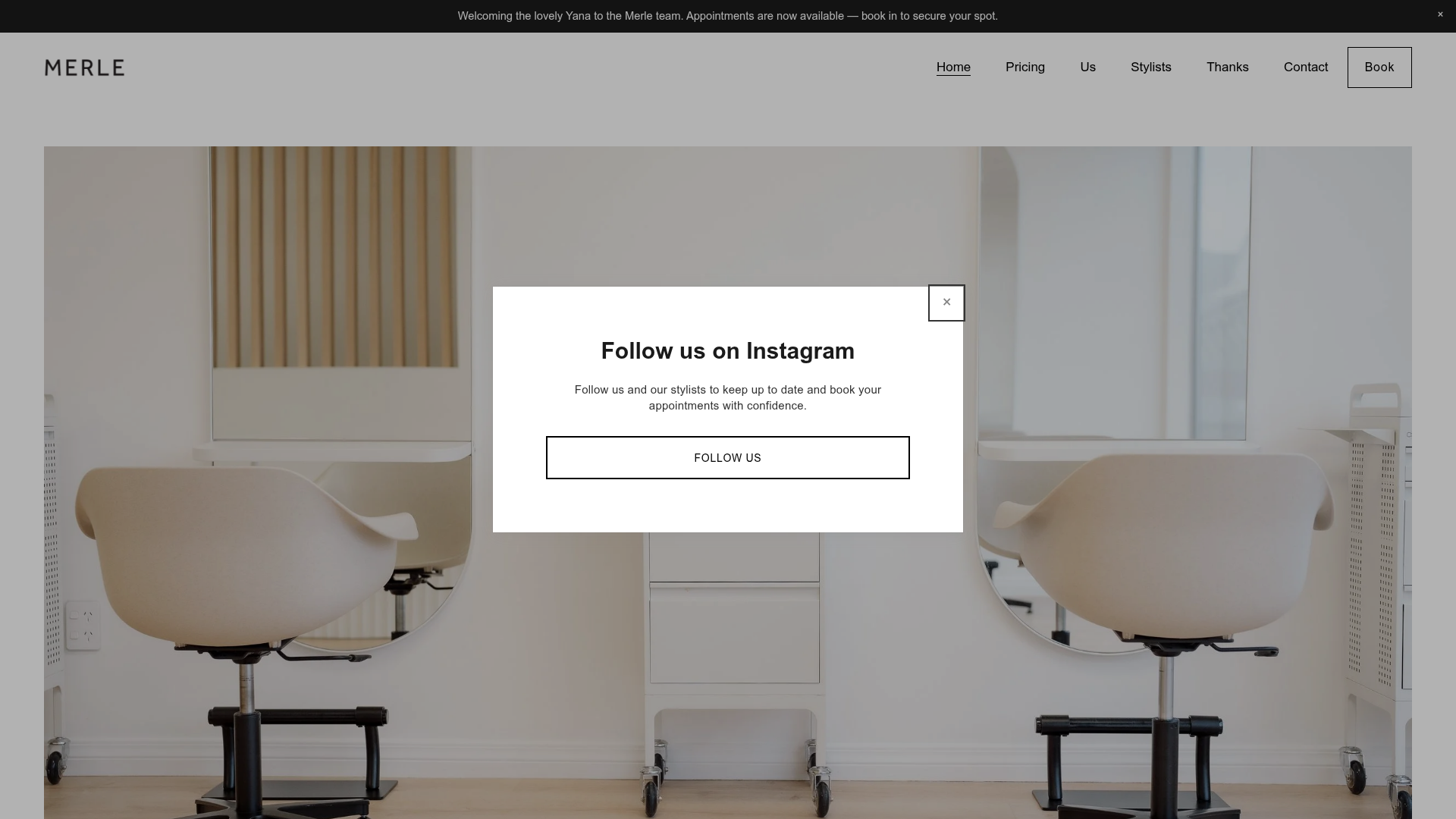 Website snapshot for MERLE.