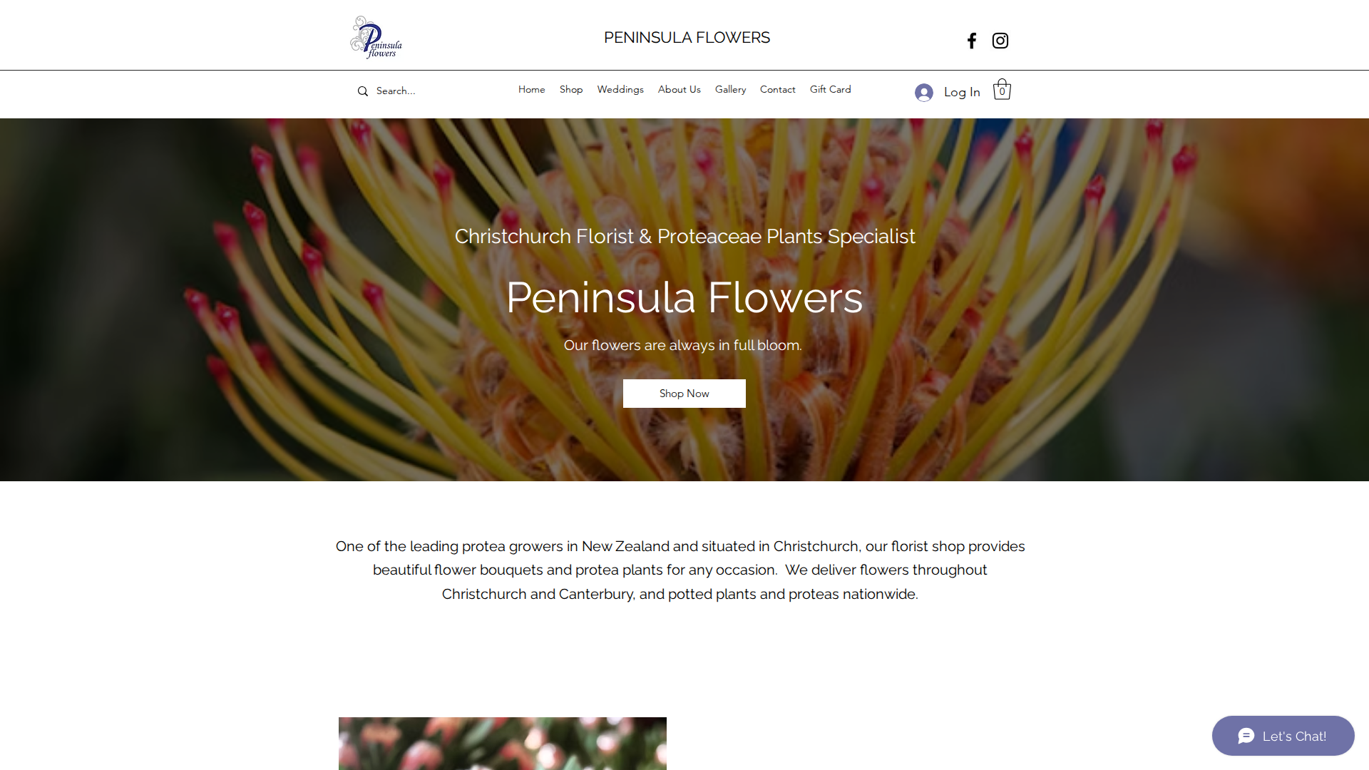 Website snapshot for Peninsula Flowers