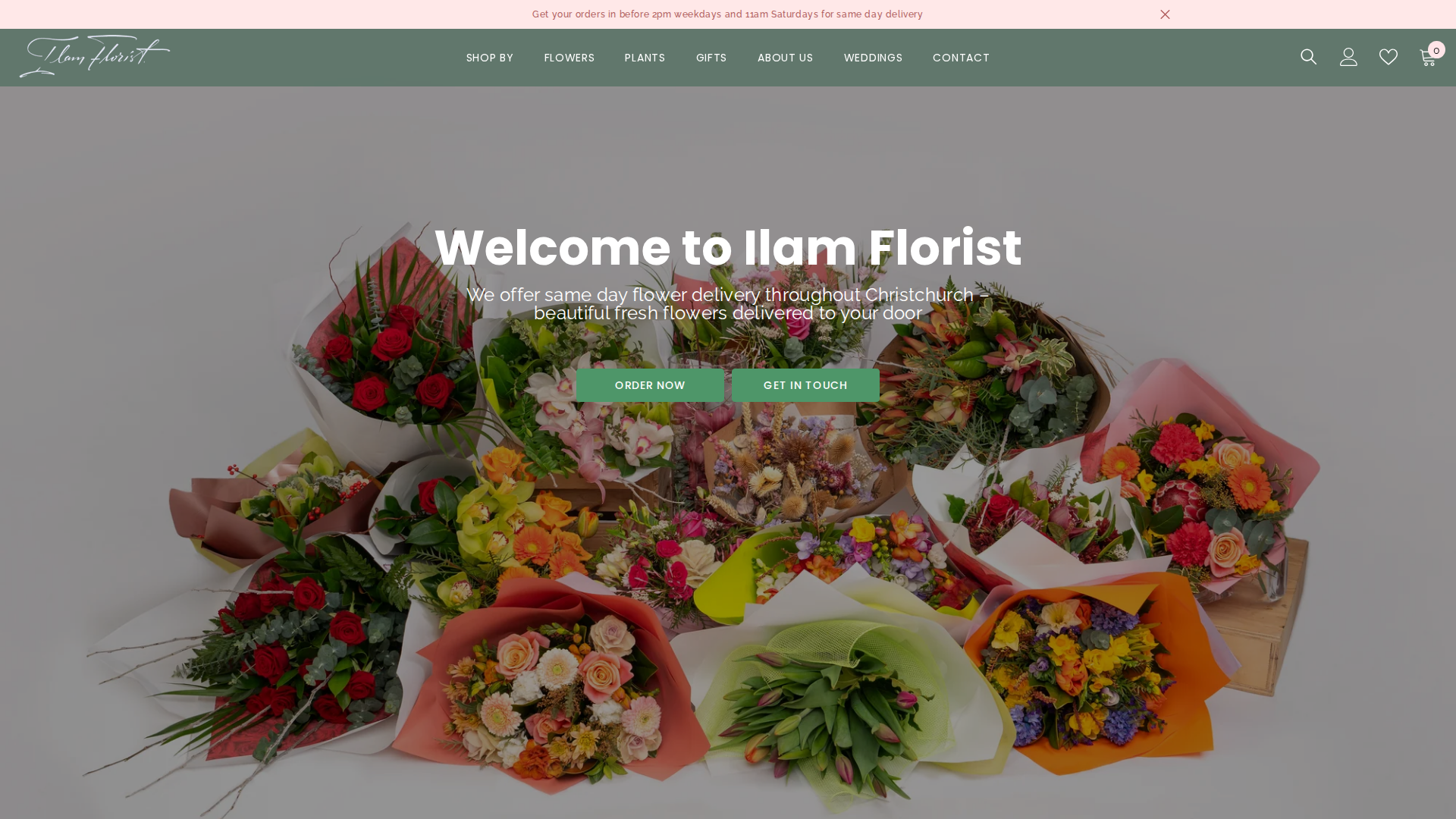 Website snapshot for Ilam Florist