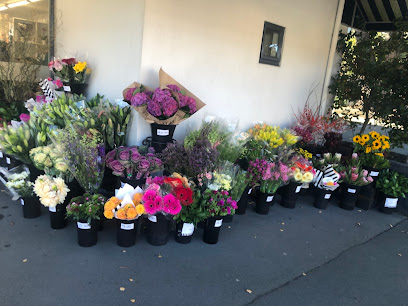 Flowers on Carlton