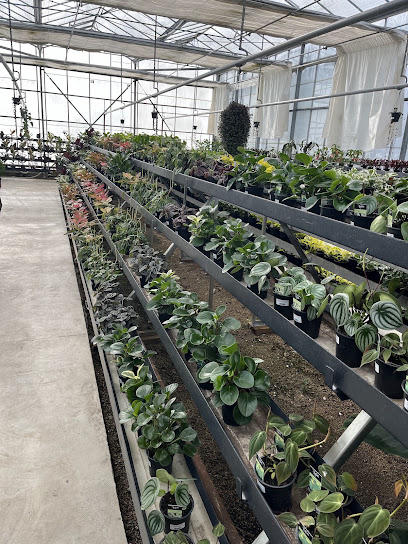 Moffatts Flower Company