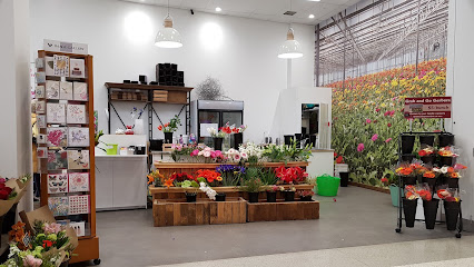 Hornby Florist