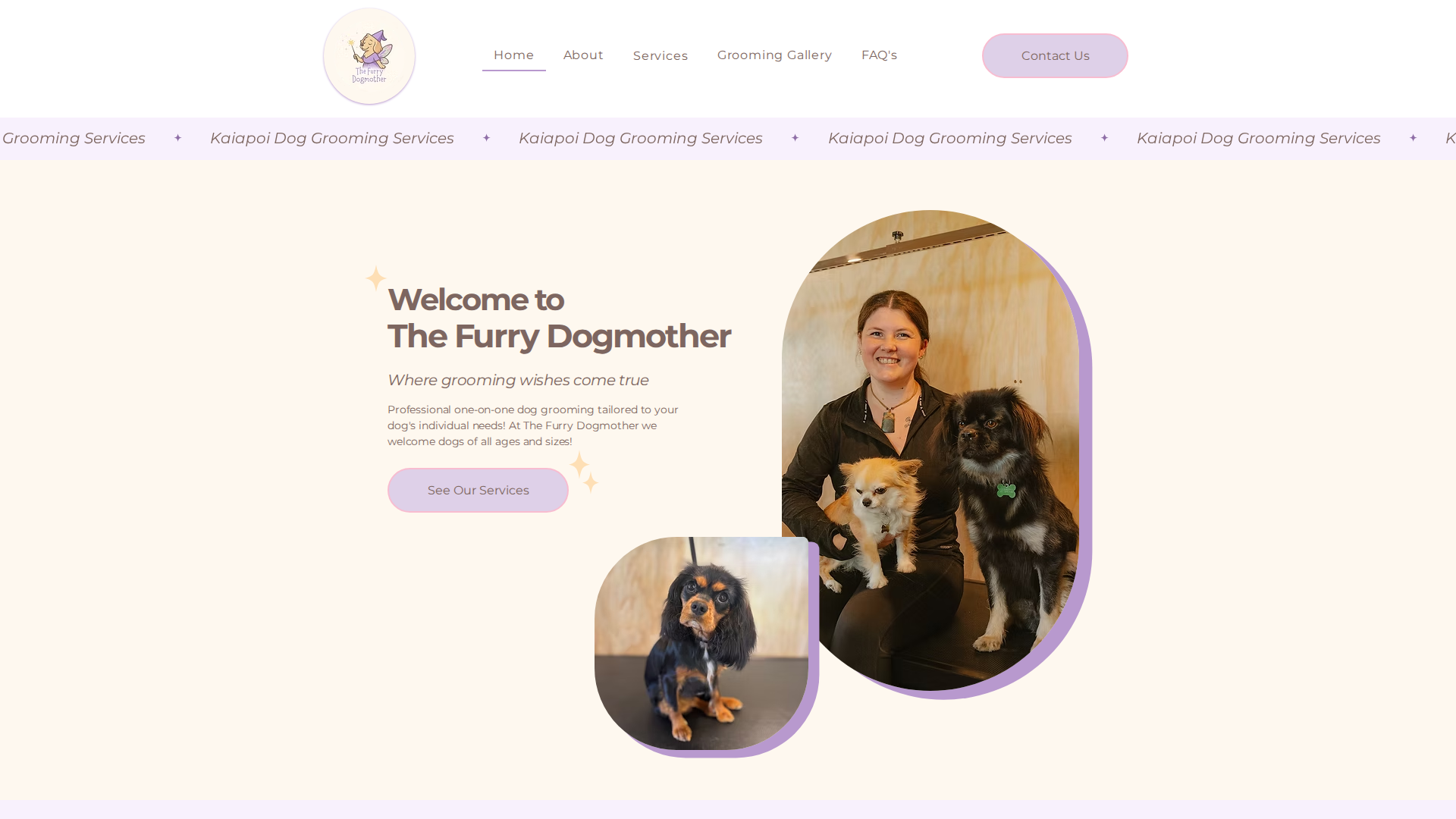 Website snapshot for The Furry Dogmother