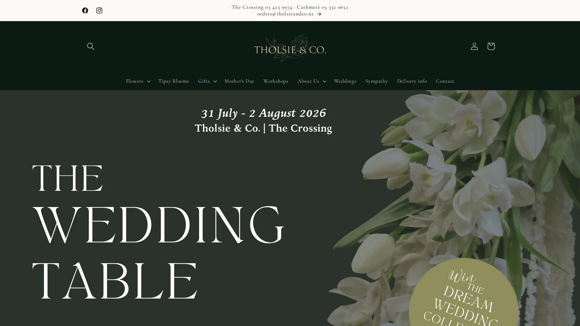 Website snapshot for Tholsie & Co
