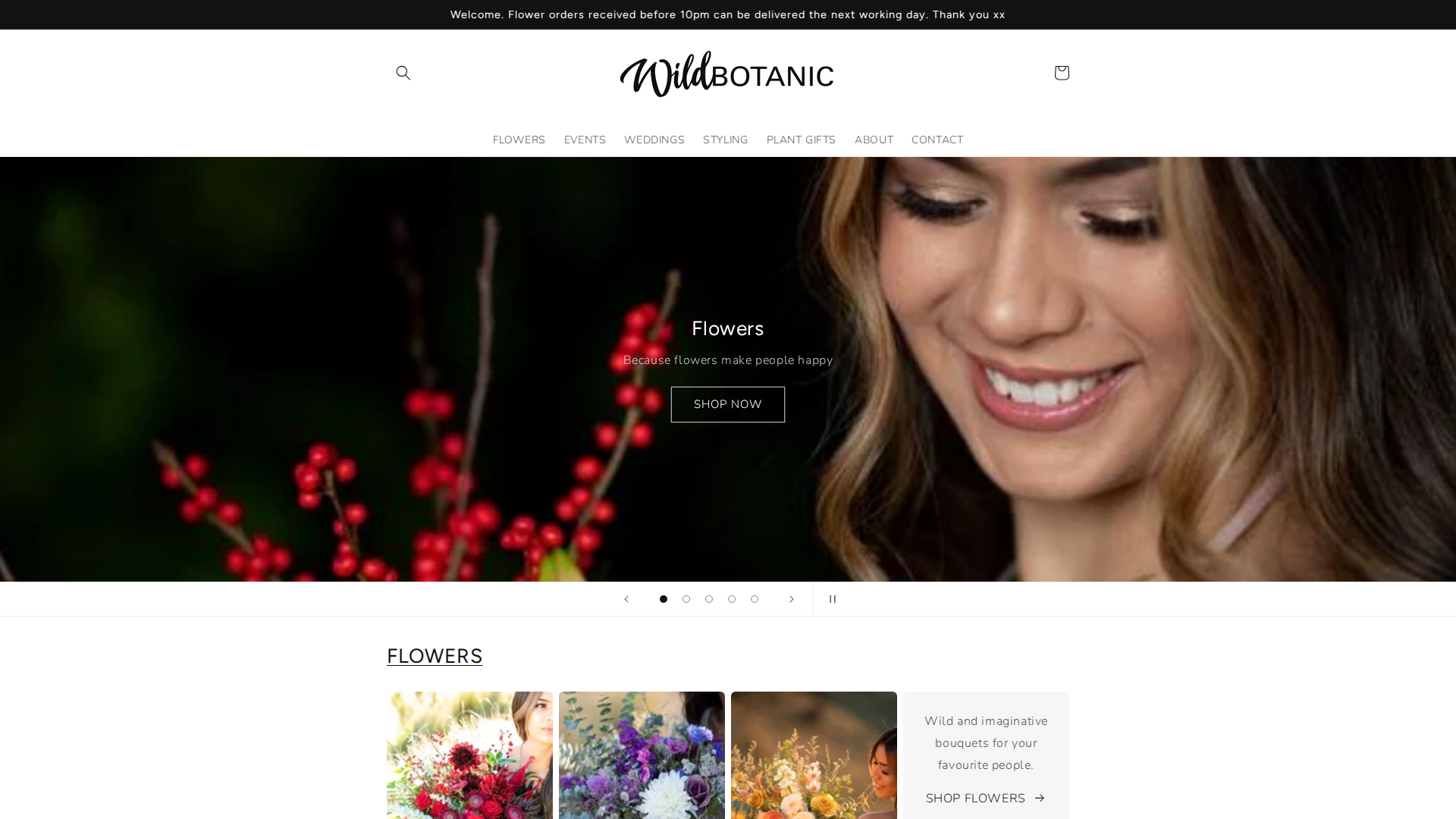 Website snapshot for Wild Botanic