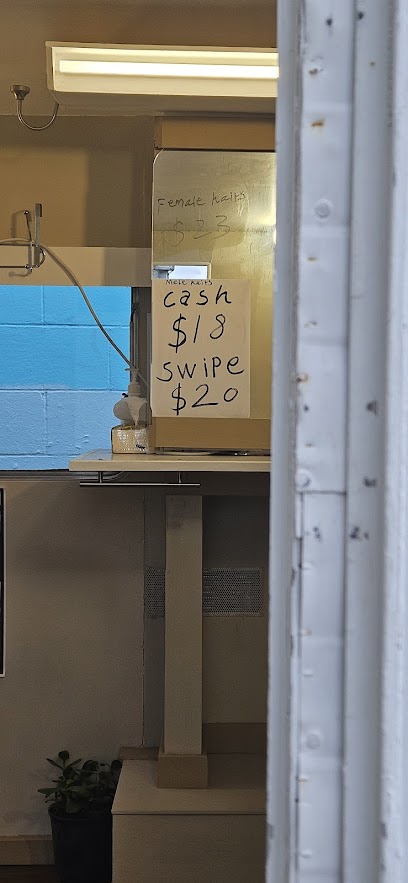 Precision Haircut $18 精剪