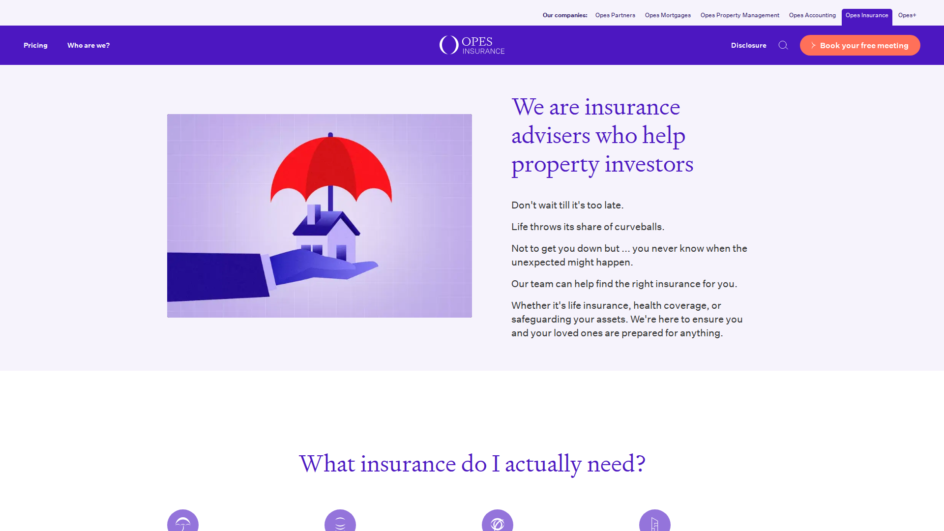 Website snapshot for Opes Insurance