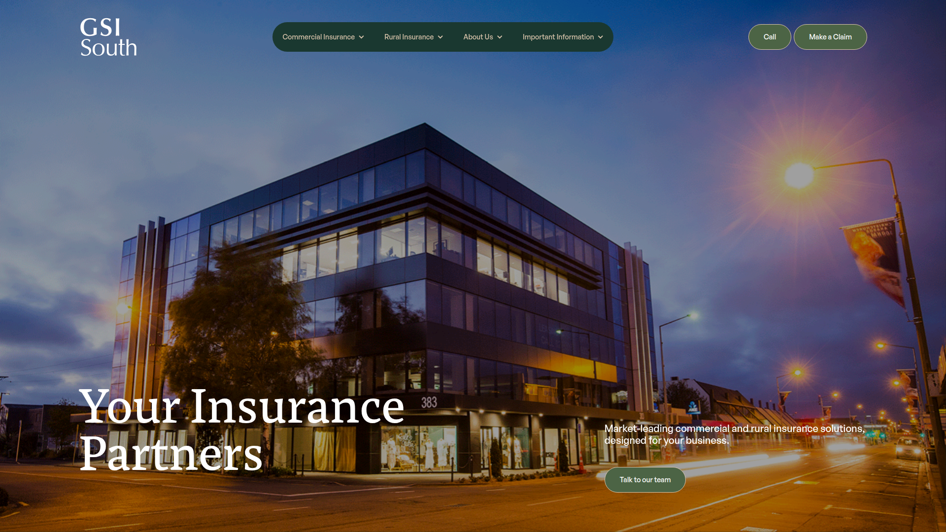 Website snapshot for GSI South