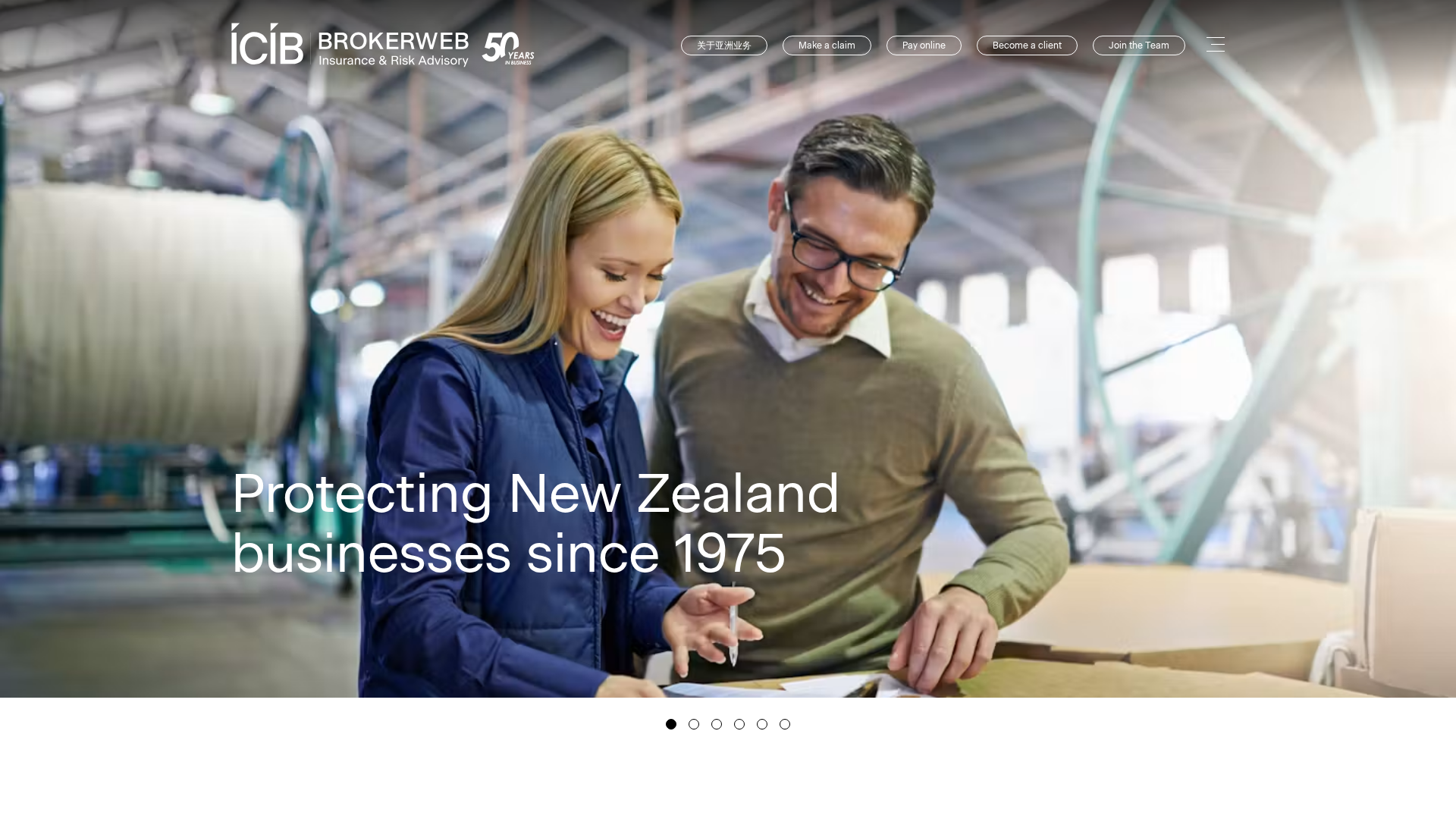 Website snapshot for ICIB Brokerweb Limited