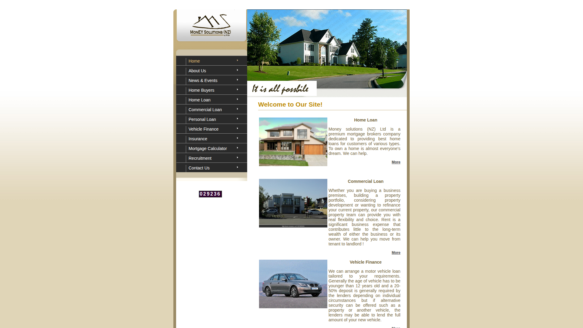 Website snapshot for Money Solutions NZ Limited