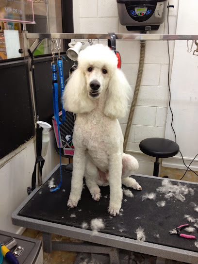 Savoir Dog Grooming