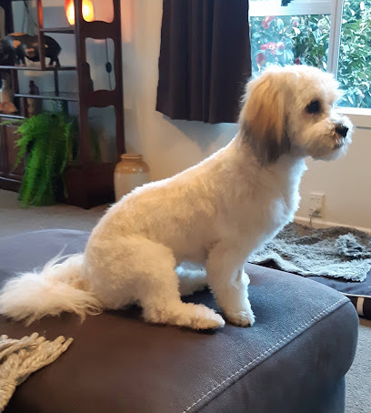 Top Dog Pet Grooming Salon