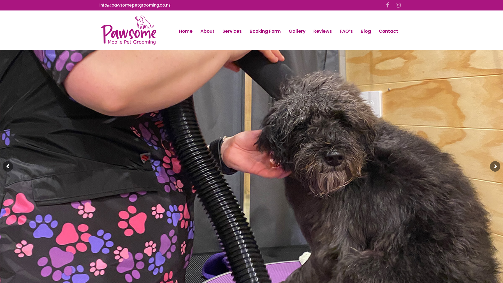Website snapshot for Pawsome Mobile Pet Grooming