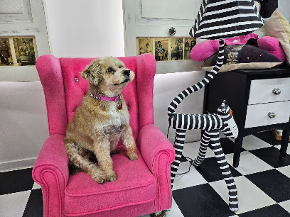 Pixies Dog Grooming