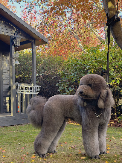 Clover Pet Grooming