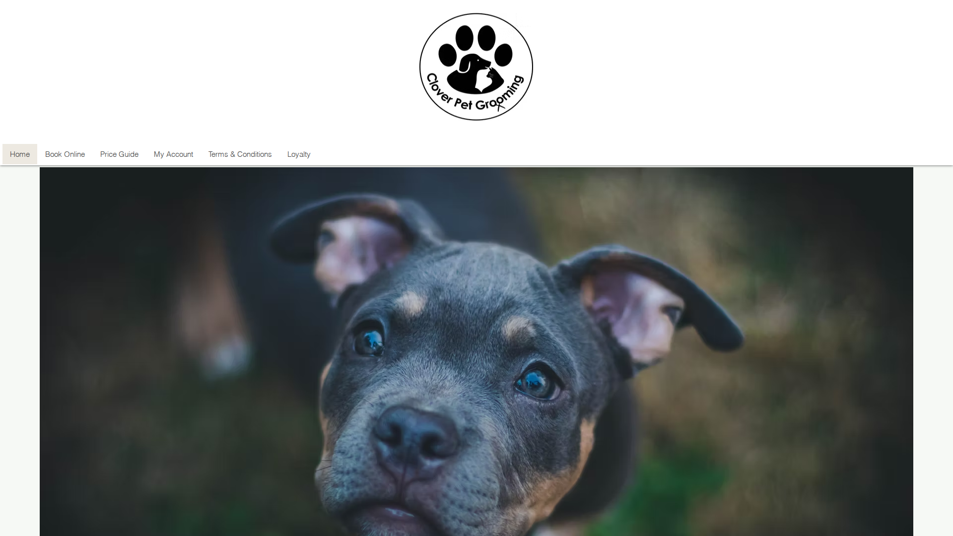 Website snapshot for Clover Pet Grooming