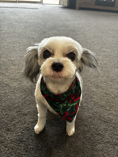 Dogzday Grooming